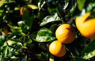 497 State Highway 14, Maunu