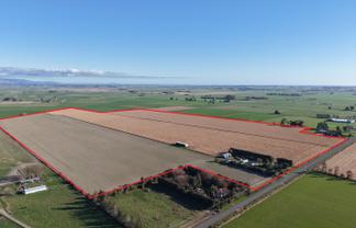 381-393 Tane Road, Opiki