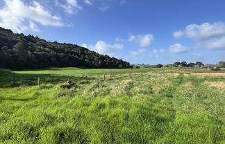 Lot 3 Opoto Place, Kaukapakapa