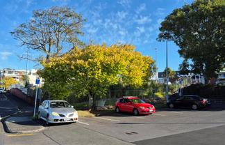 16 Fencible Drive, Howick