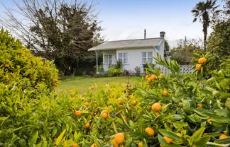 158 Rata Street, Inglewood