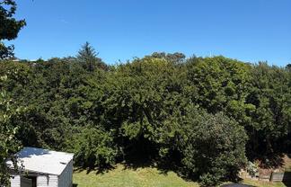 101 Alexander Road, Raumati Beach