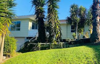 16 Willowbrook Place, Pukekohe