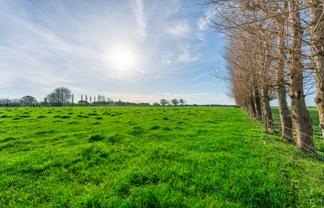 Seaforth Settlement Road, Seadown