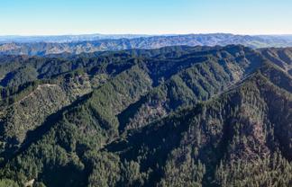 322 Creek Road, Mangamahu