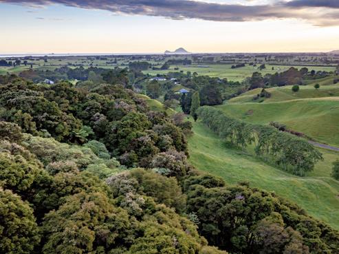 70C Withy Road, Manawahe