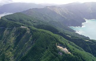  Queen Charlotte Forest, Onapua Bay, Admiralty Bay