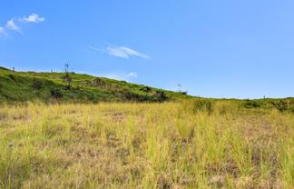 600C Bickerstaffe Road, Maungaturoto