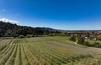 85 Brooklyn Valley Road, Riwaka