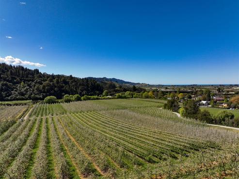 85 Brooklyn Valley Road, Motueka