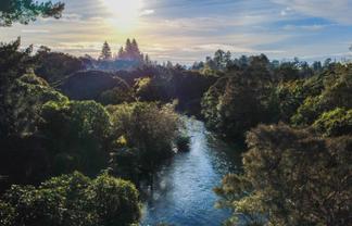 29 Mill Road, Waitahanui