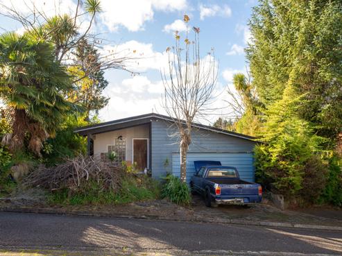 56A Moncur Drive, Springfield