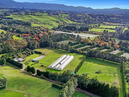 484C Wright Road, Aongatete