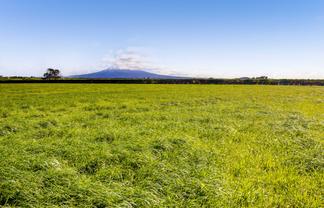 5B2A Hastings Road, Okaiawa