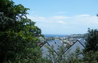 1 Mace Street, Island Bay
