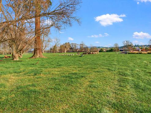 584A Orari Station Road, Geraldine