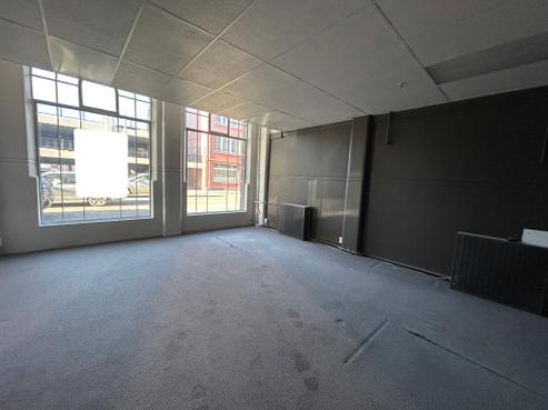 241 Cumberland Street, Dunedin Central