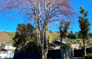 Canterbury - Address withheld