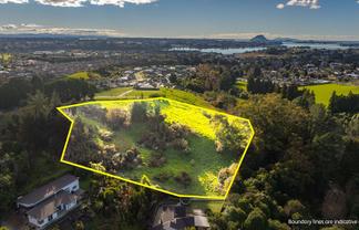 99 Carmen Way, Ohauiti