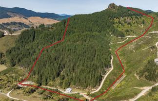 297 Graham Valley Road, Motueka Valley