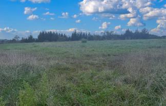 4221B Highway 22, Pepepe