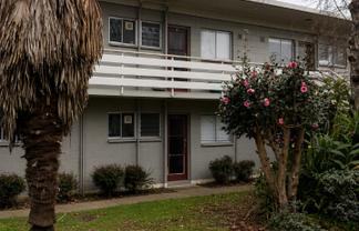 8/4 Kitchener Street, Claudelands