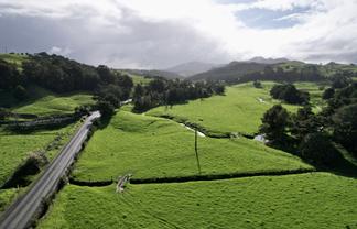 Lot 1, 111 Paradise Road, Tangiteroria