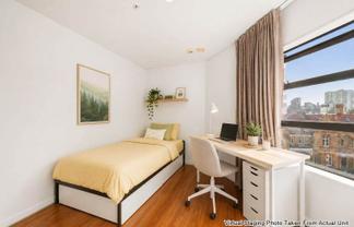 8A/30 Symonds Street, Auckland Central