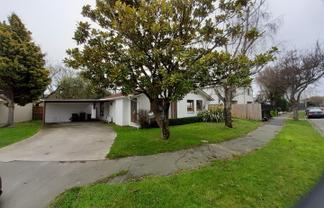 28 Newbridge Place, Ilam