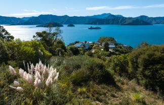 318 Port Underwood Road, Waikawa