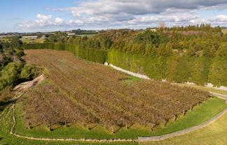 193 Maungarangi Road, Paengaroa