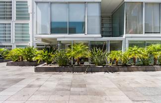 201/83 Halsey Street, Auckland Central