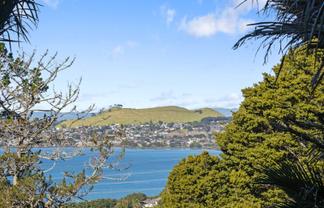 214A Hillsborough Road, Hillsborough