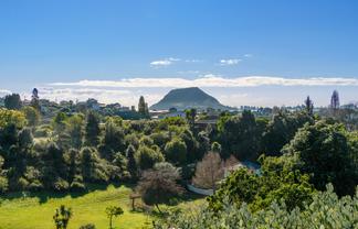 48 Hillcrest Road, Otumoetai