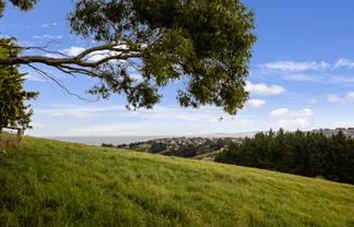 44 and 58 Hilton Road, Highcliff