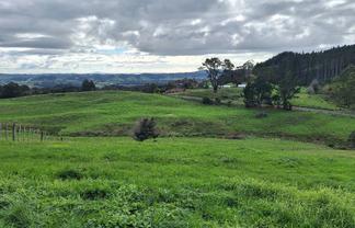 530 Creightons Road, Ardmore