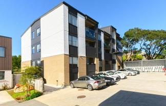 303/48 Clay works lane, New Lynn