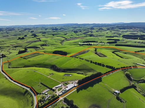 539 Mataura Island Fortrose Road, Wyndham Surrounds