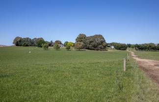 270 Downs Road, Cheviot