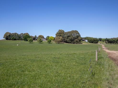 270 Downs Road, Cheviot