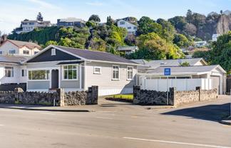 203 Carlyle Street, Napier South