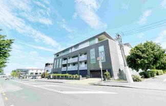 Premium Office/Showroom in Ellerslie