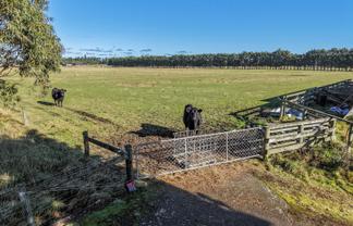 77 Leslies Road, Cust