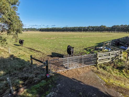 77 Leslies Road, Cust