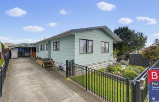 13 Douglas Street, Levin