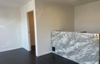 Turnkey Medical & Wellness Opportunity in Point Chevalier