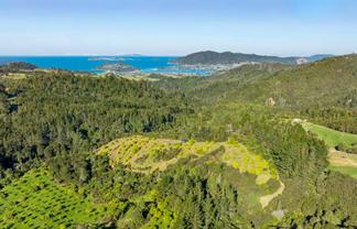 151B SH25 Tairua-Whitianga Hwy, Tairua