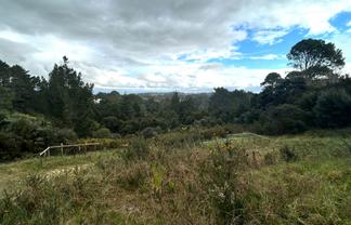 244 Albany Heights Road, Albany Heights