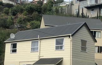 5 Serpentine Avenue, Dunedin Central