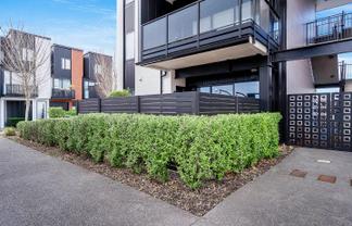 3/182 London Street, Hamilton Central